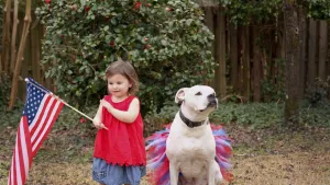 4th Of July Dog Tutu Skirt | XS-XXXL | Independence Day Dog Tutu Skirt | USA Flag Dog Skirt | American Tutu