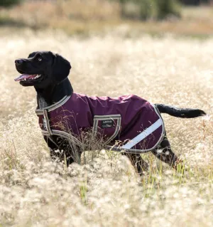 Amigo Waterproof Dog Blanket