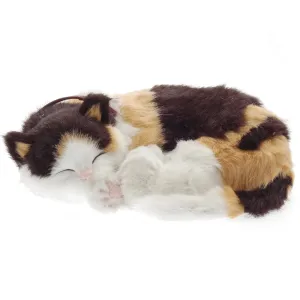 Calico Cat Soft Bundle