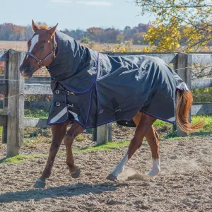 Canadian Horsewear Violet Diablo Storm - Turnout 160gm