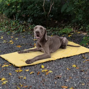 Foldable Waterproof Portable Dog Car Seat Mat Dog Camping Mat