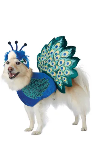 Pretty as a Peacock Dog Costume
