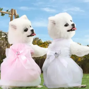 Regal Princess Pets Dress White Lace Fancy Skirt
